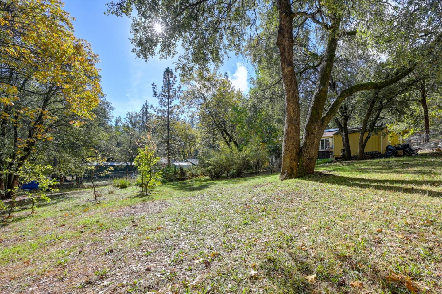 Detail Gallery Image 53 of 66 For 21335 Robin Ln, Pine Grove,  CA 95665 - 3 Beds | 2 Baths