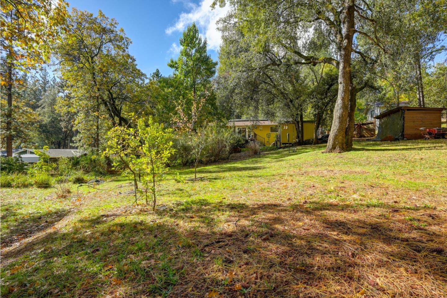 Detail Gallery Image 54 of 66 For 21335 Robin Ln, Pine Grove,  CA 95665 - 3 Beds | 2 Baths