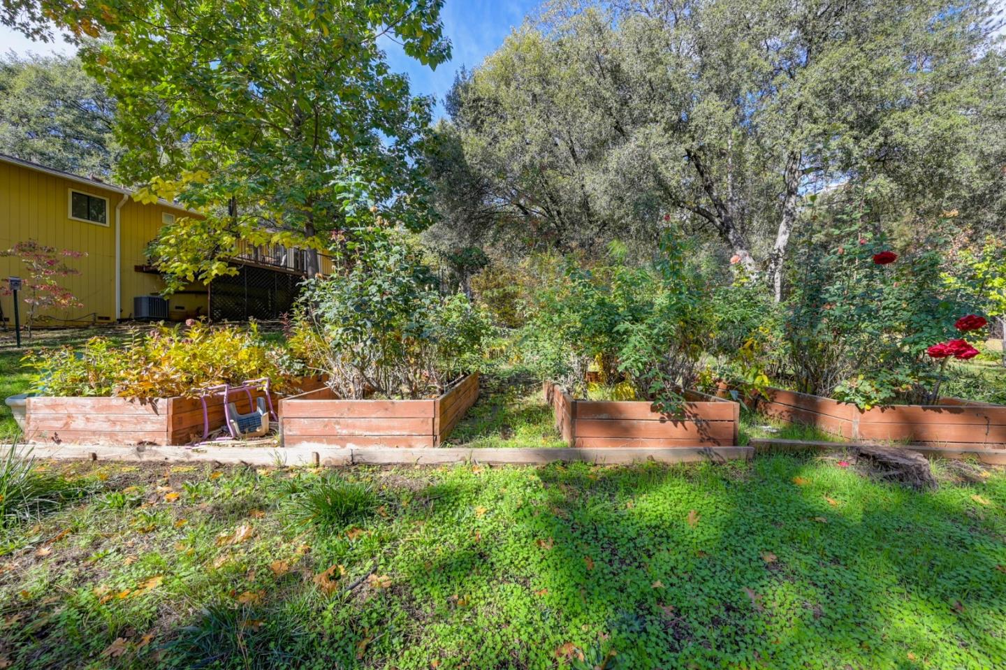 Detail Gallery Image 58 of 66 For 21335 Robin Ln, Pine Grove,  CA 95665 - 3 Beds | 2 Baths