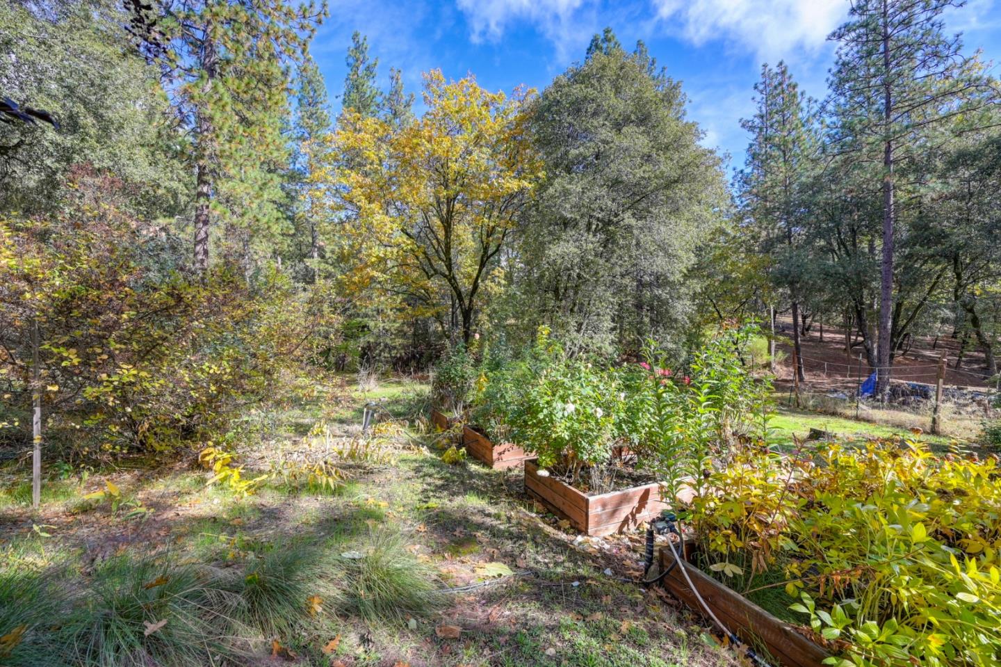 Detail Gallery Image 59 of 66 For 21335 Robin Ln, Pine Grove,  CA 95665 - 3 Beds | 2 Baths