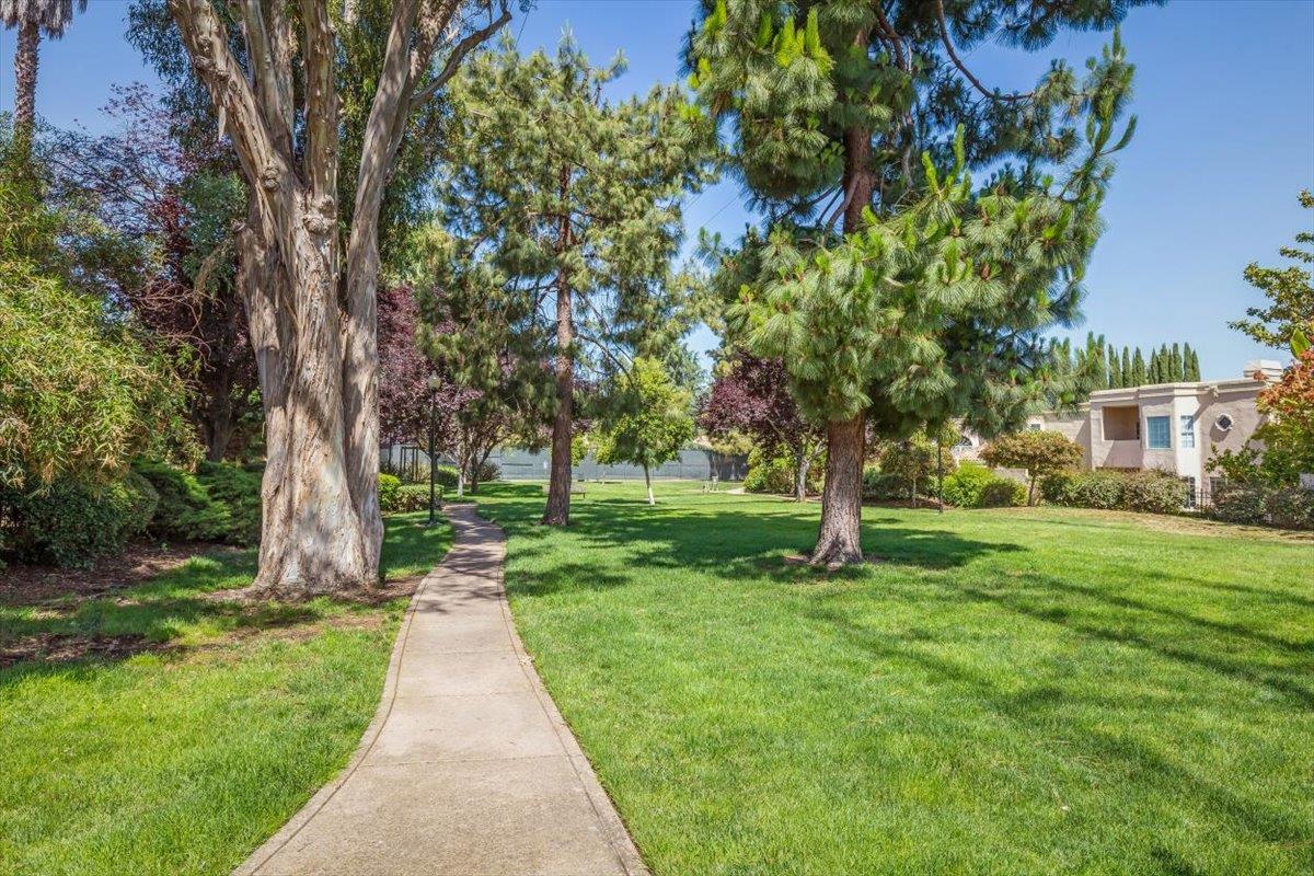 Detail Gallery Image 44 of 49 For 1190 Maria Privada, Mountain View,  CA 94040 - 4 Beds | 2/1 Baths