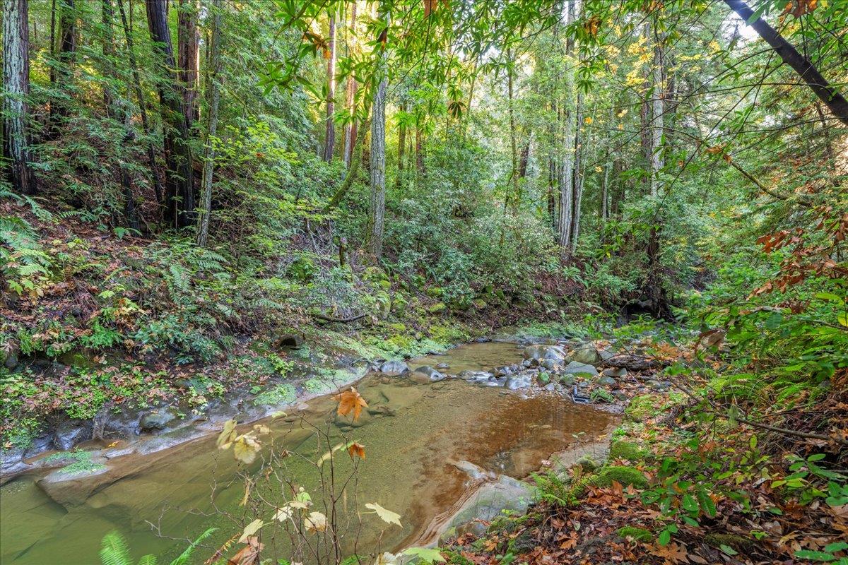 Detail Gallery Image 35 of 47 For 17710 Bear Creek Rd, Boulder Creek,  CA 95006 - 3 Beds | 2/1 Baths