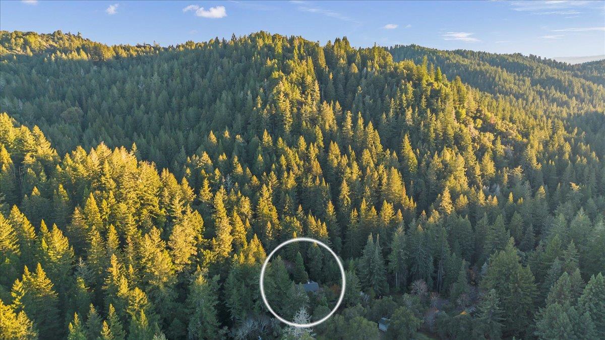 Detail Gallery Image 45 of 47 For 17710 Bear Creek Rd, Boulder Creek,  CA 95006 - 3 Beds | 2/1 Baths