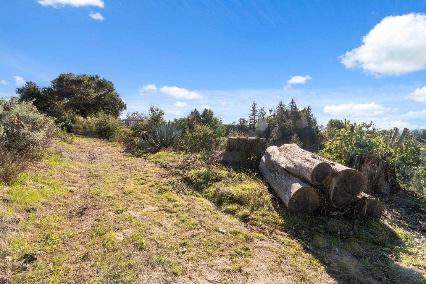 Detail Gallery Image 22 of 31 For 18060 Moonrise Rd, Boulder Creek,  CA 95006 - – Beds | – Baths