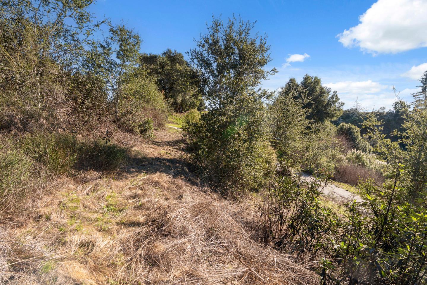 Detail Gallery Image 23 of 31 For 18060 Moonrise Rd, Boulder Creek,  CA 95006 - – Beds | – Baths