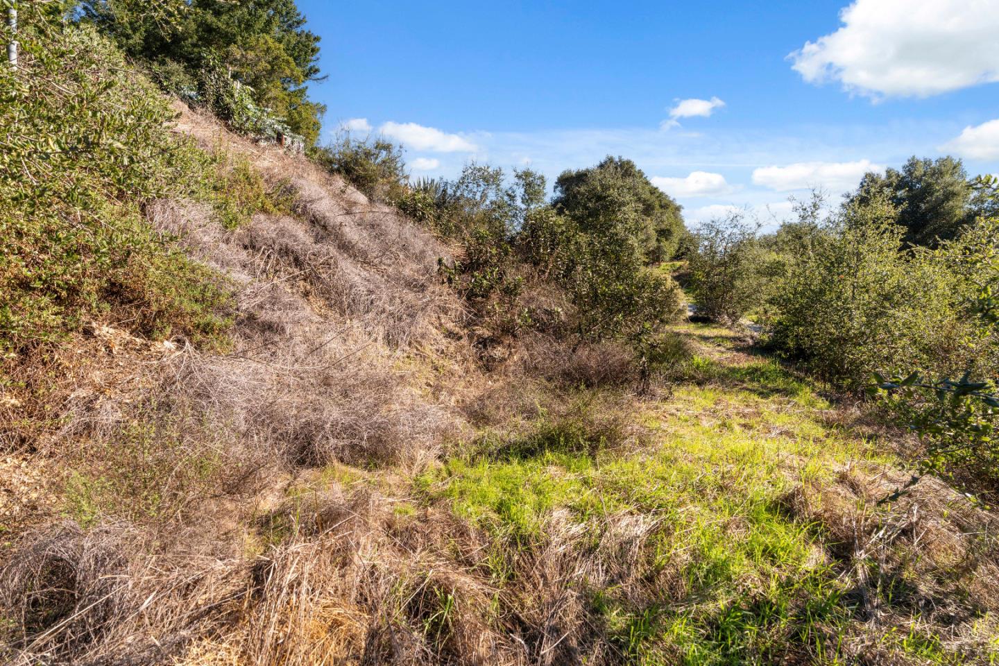 Detail Gallery Image 25 of 31 For 18060 Moonrise Rd, Boulder Creek,  CA 95006 - – Beds | – Baths