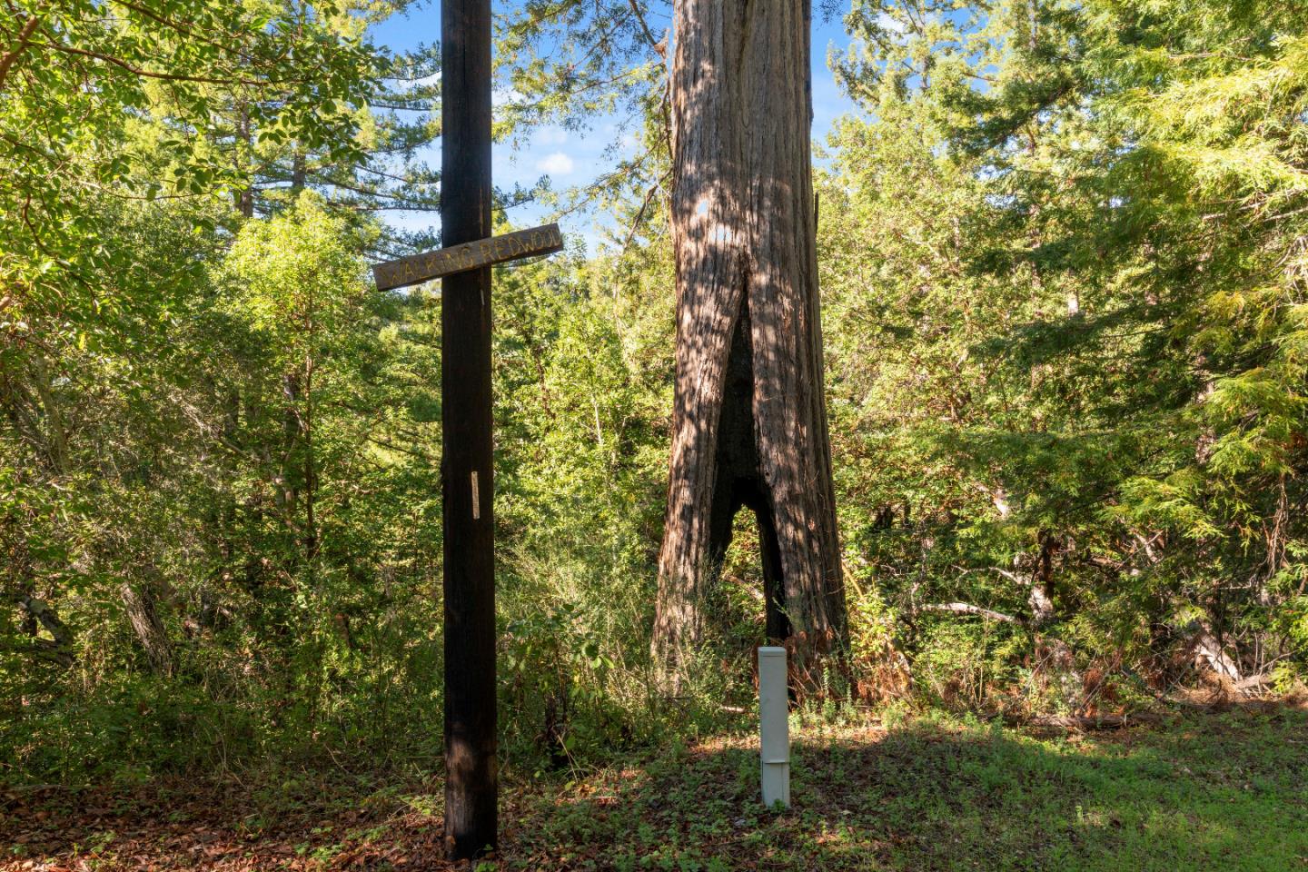 Detail Gallery Image 27 of 31 For 18060 Moonrise Rd, Boulder Creek,  CA 95006 - – Beds | – Baths