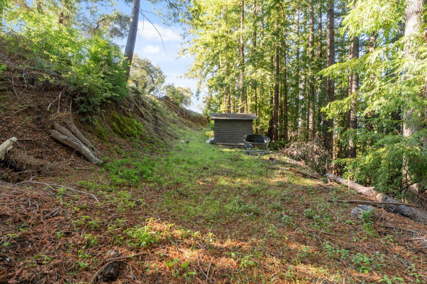 Detail Gallery Image 28 of 31 For 18060 Moonrise Rd, Boulder Creek,  CA 95006 - – Beds | – Baths