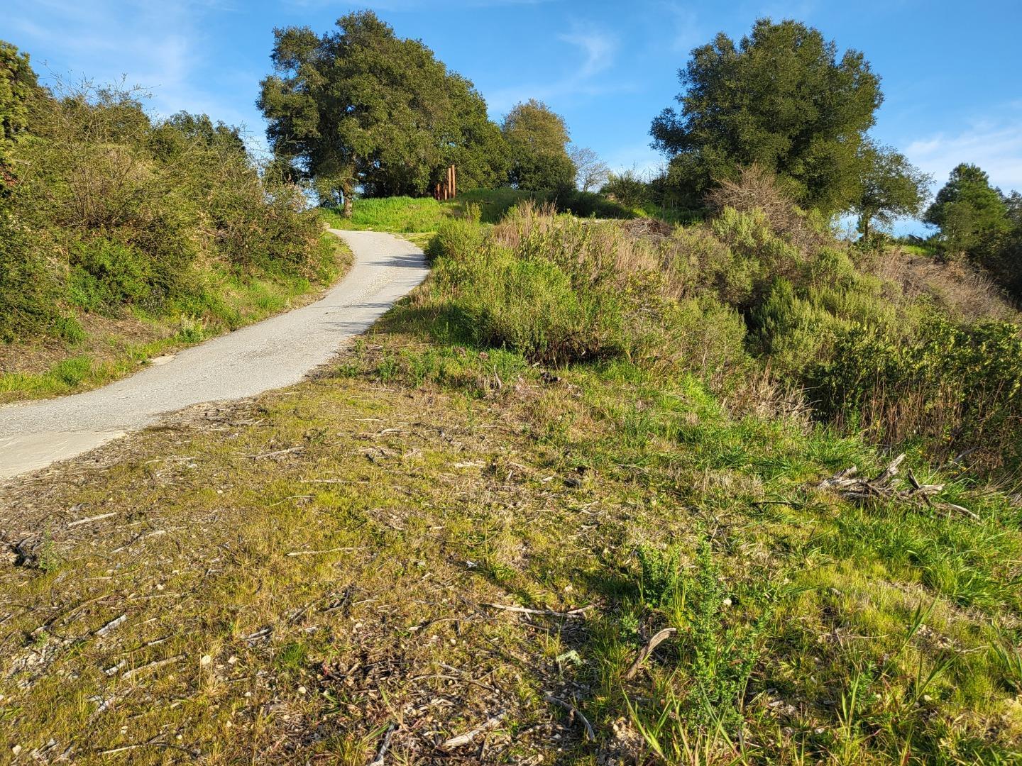 Detail Gallery Image 30 of 31 For 18060 Moonrise Rd, Boulder Creek,  CA 95006 - – Beds | – Baths