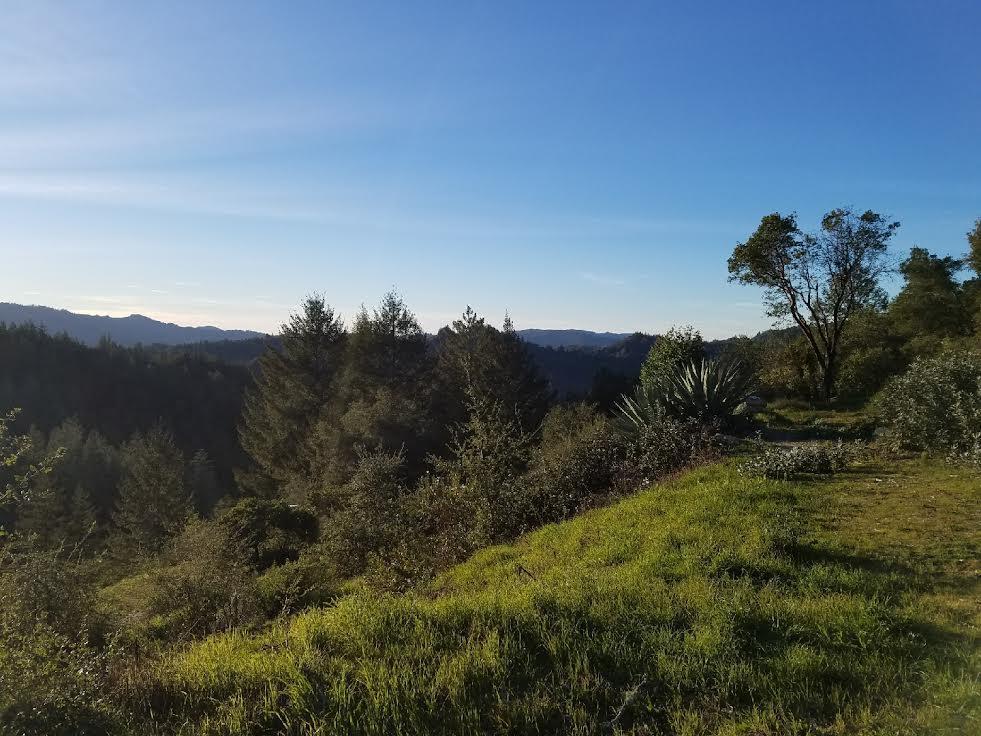 Detail Gallery Image 31 of 31 For 18060 Moonrise Rd, Boulder Creek,  CA 95006 - – Beds | – Baths