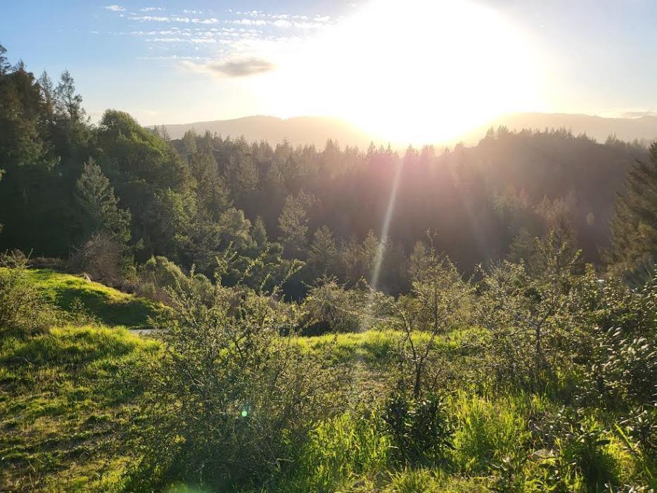 Detail Gallery Image 8 of 31 For 18060 Moonrise Rd, Boulder Creek,  CA 95006 - – Beds | – Baths