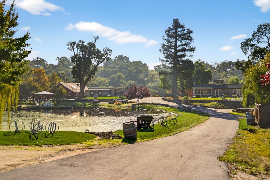 Detail Gallery Image 16 of 52 For 3970 Leavesley Rd, Gilroy,  CA 95020 - 7 Beds | 5/2 Baths