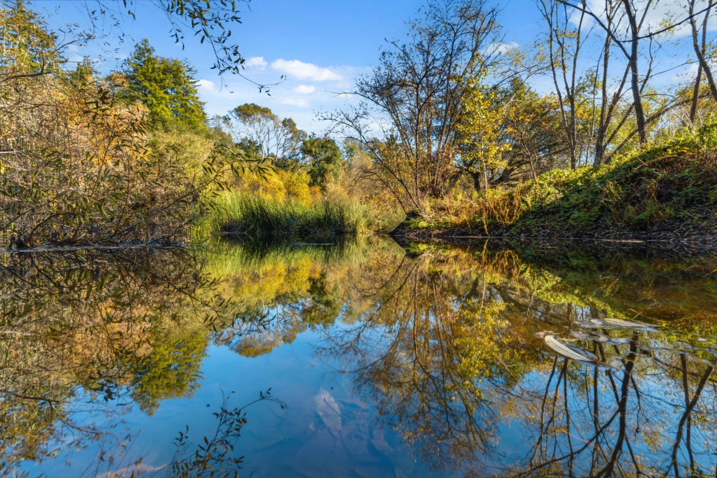 Detail Gallery Image 55 of 59 For 206 Gaffey Rd, Watsonville,  CA 95076 - 5 Beds | 3 Baths
