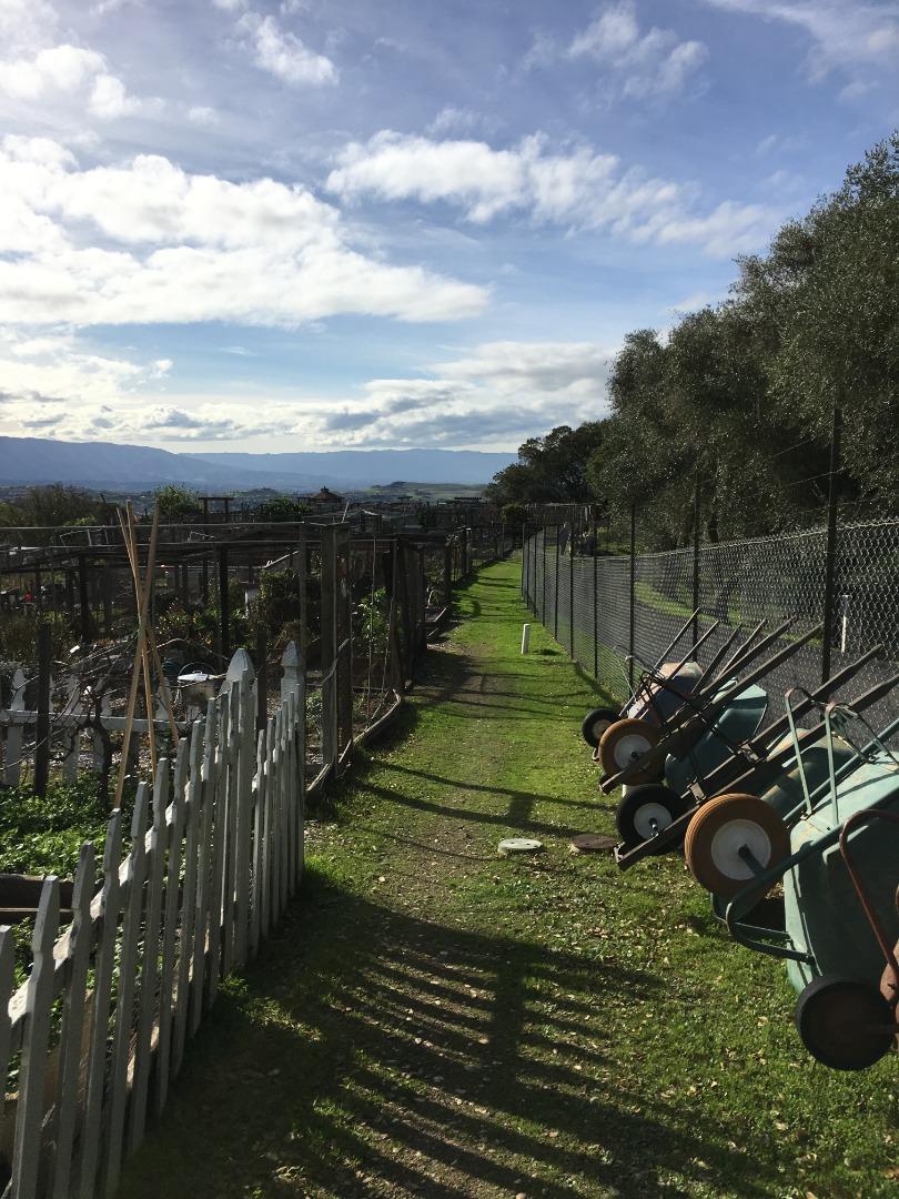Detail Gallery Image 44 of 46 For 7931 Caledonia Dr, San Jose,  CA 95135 - 2 Beds | 2 Baths