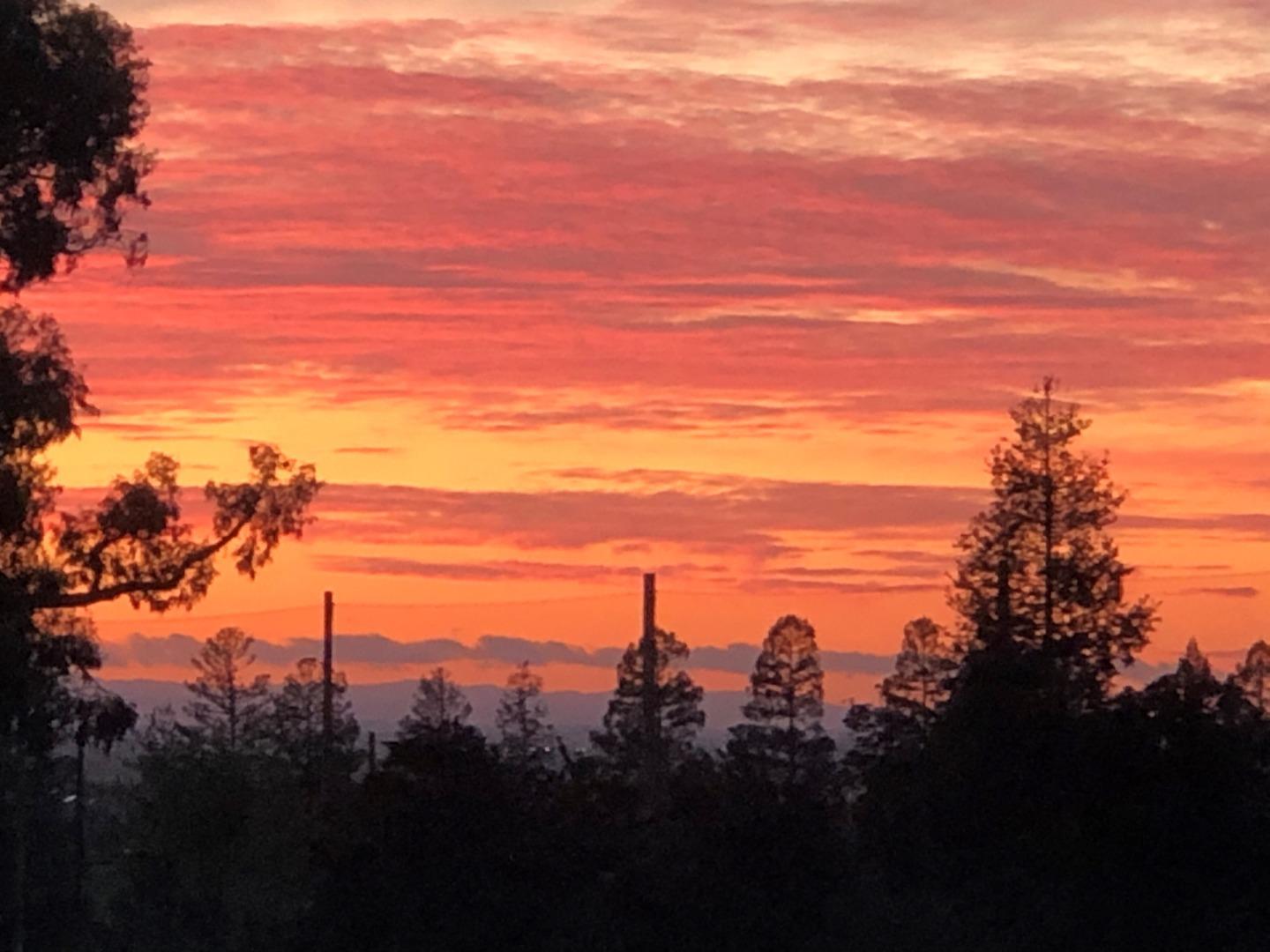 Detail Gallery Image 45 of 46 For 7931 Caledonia Dr, San Jose,  CA 95135 - 2 Beds | 2 Baths