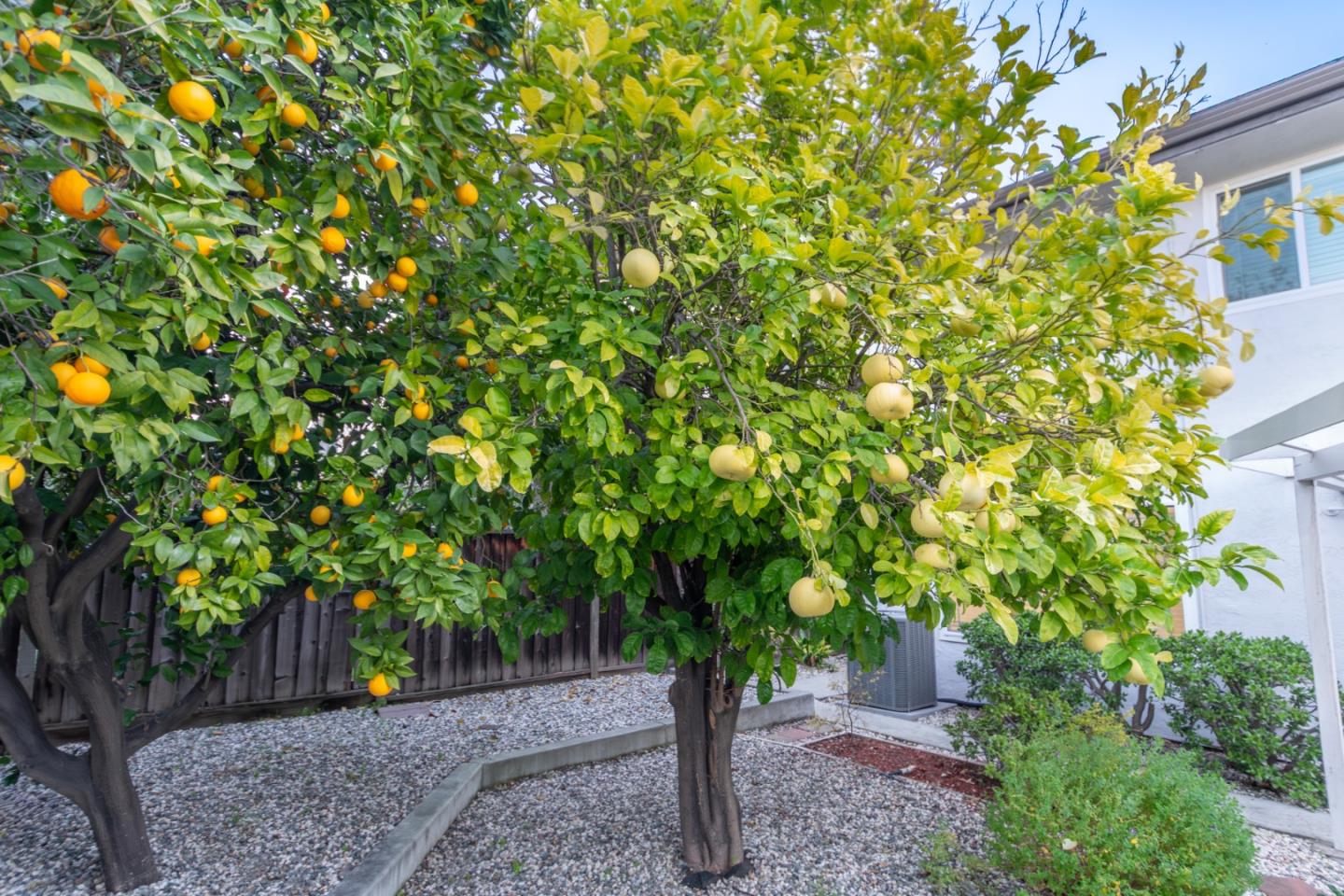 Detail Gallery Image 56 of 61 For 3195 Kawalker Ln, San Jose,  CA 95127 - 4 Beds | 3 Baths