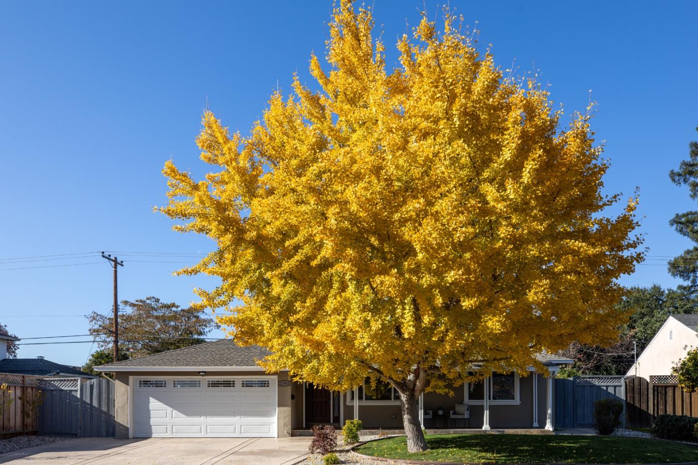 Detail Gallery Image 2 of 13 For 2381 Rosita Ave, Santa Clara,  CA 95050 - 3 Beds | 2 Baths