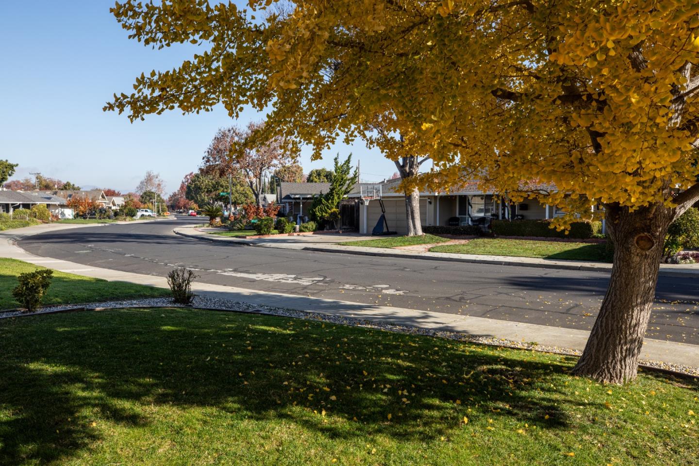 Detail Gallery Image 3 of 13 For 2381 Rosita Ave, Santa Clara,  CA 95050 - 3 Beds | 2 Baths
