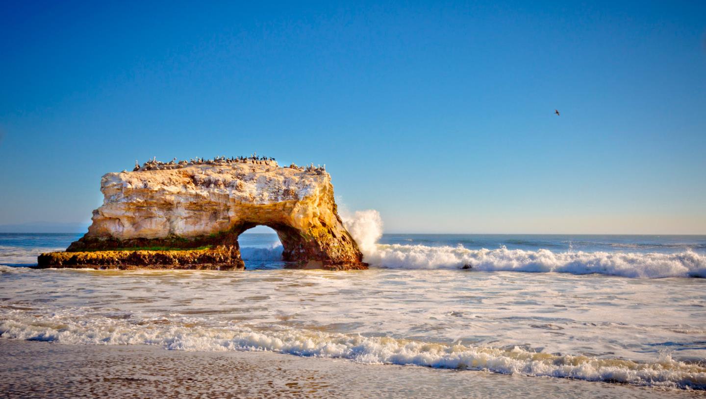 Detail Gallery Image 58 of 82 For 312 Elm St, Santa Cruz,  CA 95060 - 2 Beds | 1/1 Baths