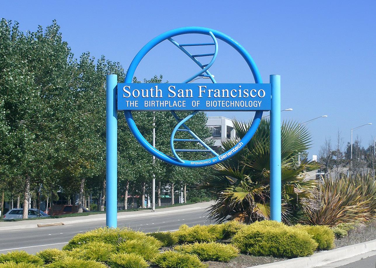 Detail Gallery Image 65 of 69 For 439 Yellowstone Dr, South San Francisco,  CA 94080 - 3 Beds | 2 Baths