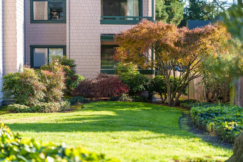 Detail Gallery Image 33 of 37 For 318 Soquel Ave #D3,  Santa Cruz,  CA 95062 - 2 Beds | 2 Baths