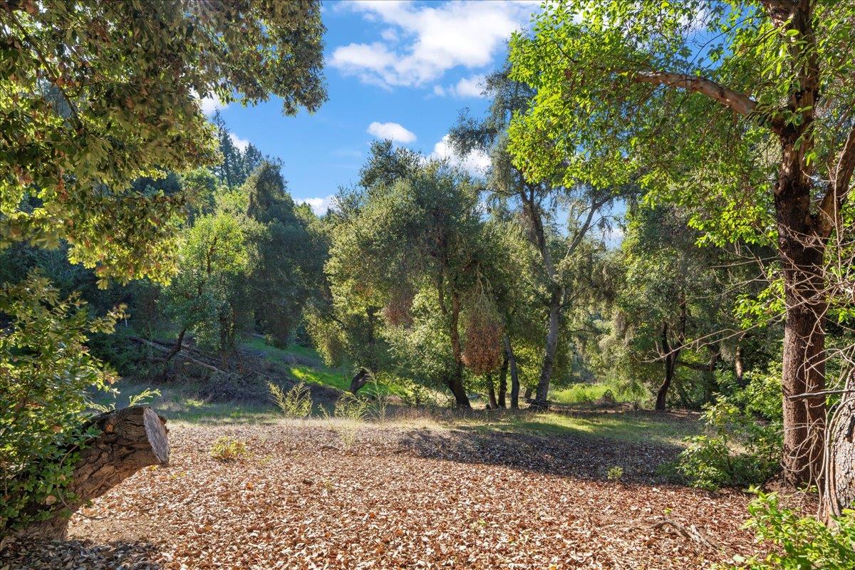 Detail Gallery Image 12 of 14 For 15380 Stetson, Los Gatos,  CA 95033 - – Beds | – Baths