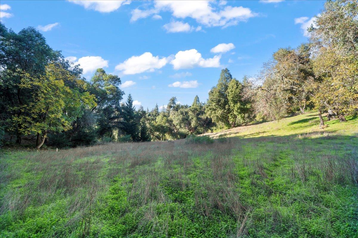 Detail Gallery Image 8 of 14 For 15380 Stetson, Los Gatos,  CA 95033 - – Beds | – Baths