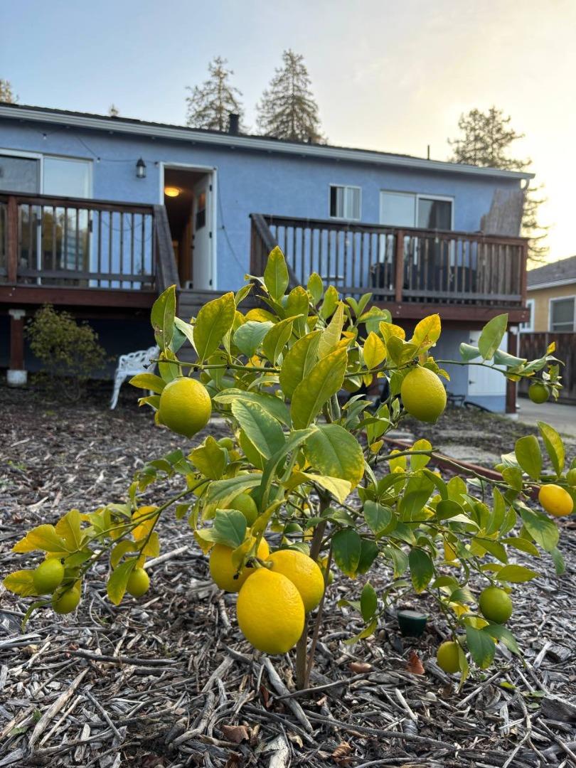 Detail Gallery Image 10 of 10 For 2260 Romey Ln, Hayward,  CA 94541 - 2 Beds | 2 Baths