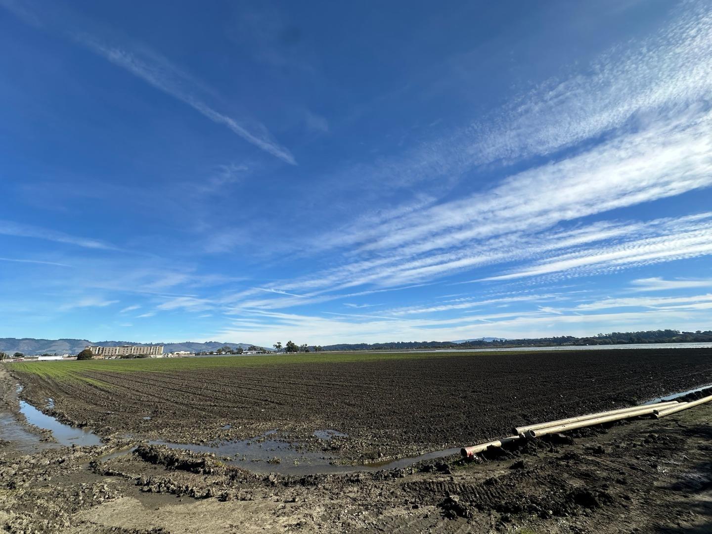 Detail Gallery Image 11 of 11 For 1931 Beach Rd, Watsonville,  CA 95076 - – Beds | – Baths