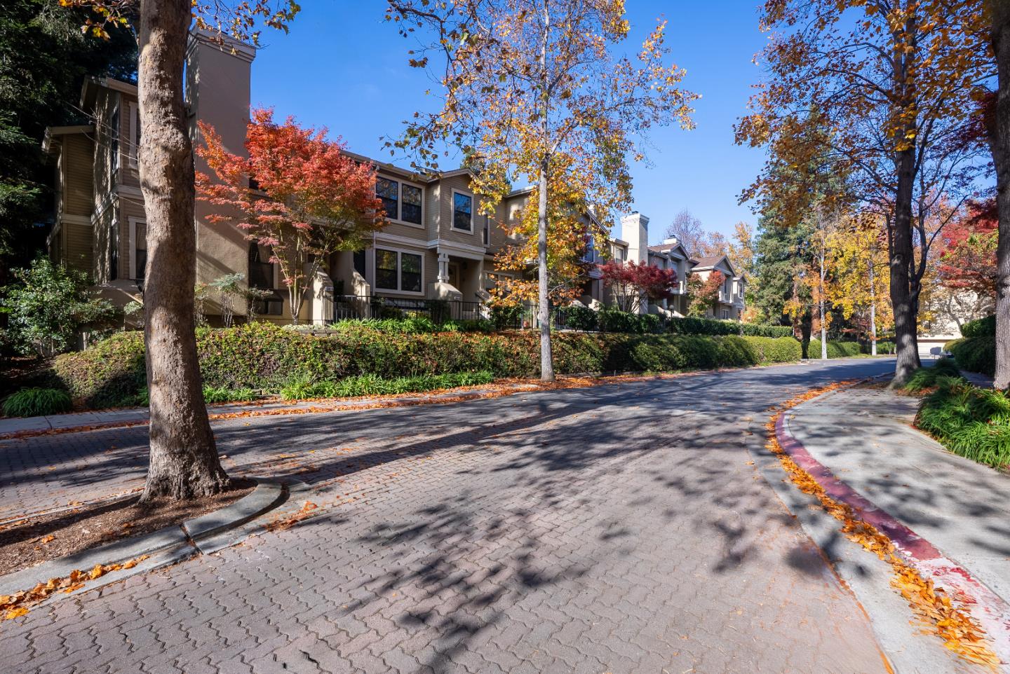 Detail Gallery Image 9 of 15 For 998 La Mesa Ter #D,  Sunnyvale,  CA 94086 - 3 Beds | 3 Baths