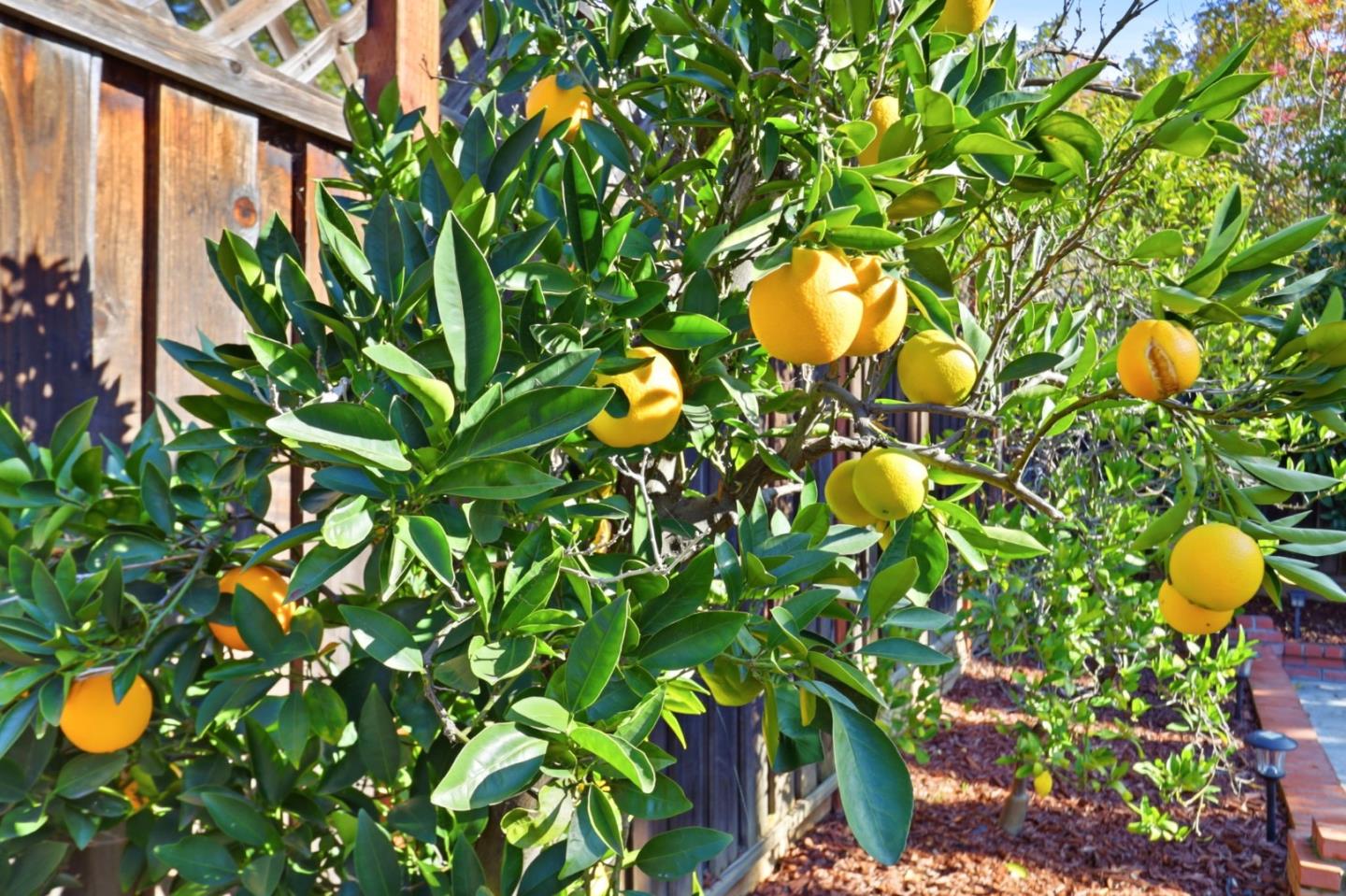 Detail Gallery Image 54 of 56 For 5948 Garlough Dr, San Jose,  CA 95123 - 4 Beds | 3 Baths