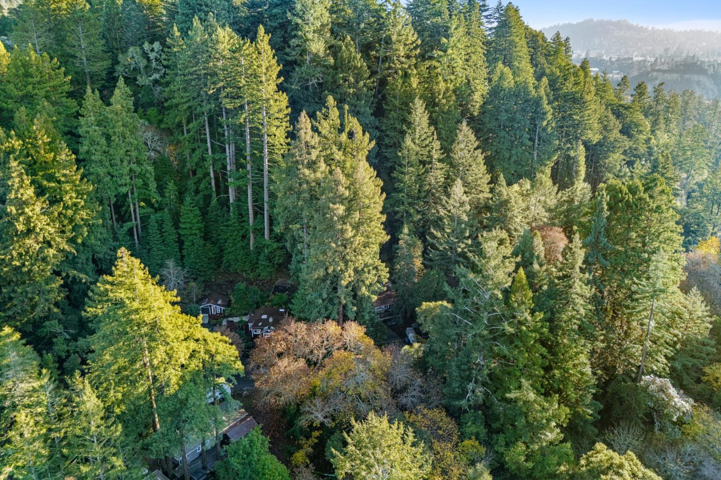 Detail Gallery Image 39 of 41 For 610 Nelson Rd, Scotts Valley,  CA 95066 - 1 Beds | 1 Baths