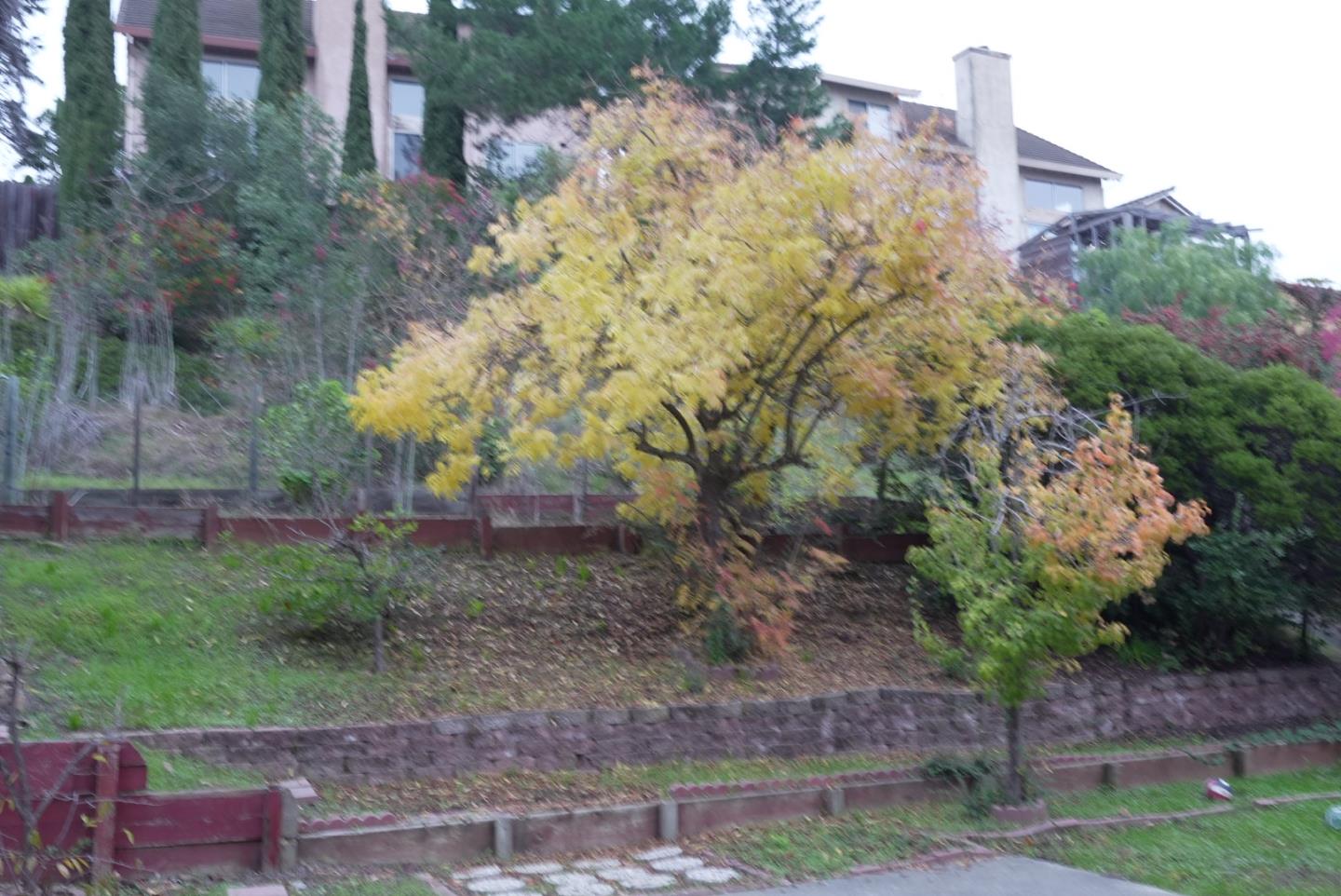 Detail Gallery Image 15 of 15 For 136 Olympic Dr, Vallejo,  CA 94589 - 4 Beds | 2/1 Baths