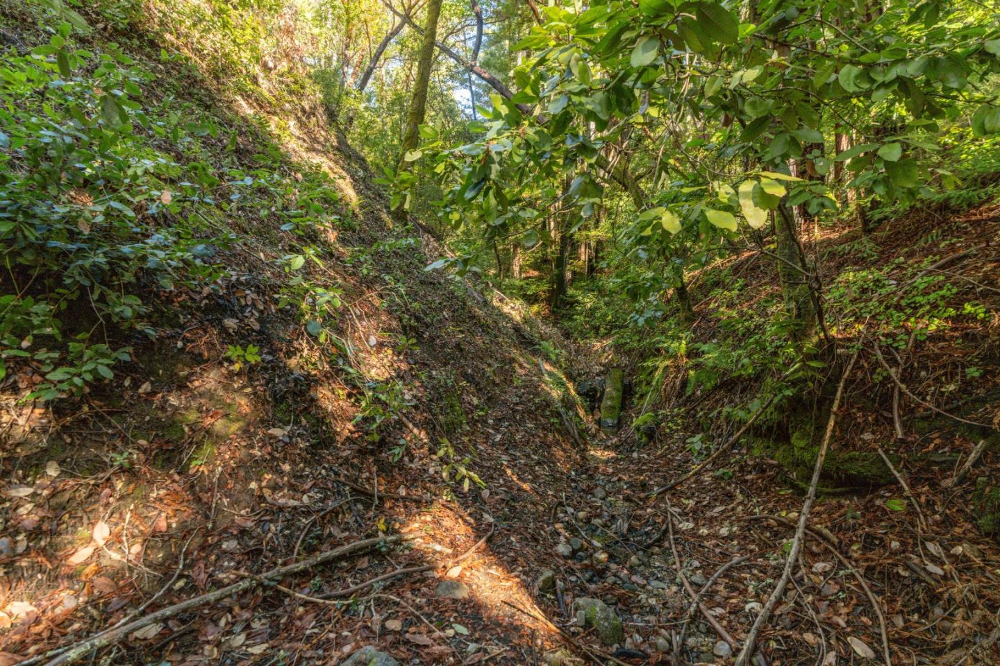 Detail Gallery Image 3 of 6 For 01 Lompico Rd, Felton,  CA 95018 - – Beds | – Baths