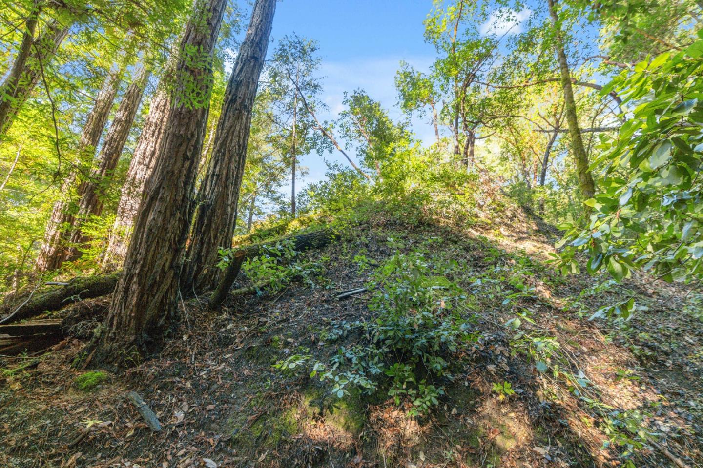 Detail Gallery Image 5 of 6 For 01 Lompico Rd, Felton,  CA 95018 - – Beds | – Baths