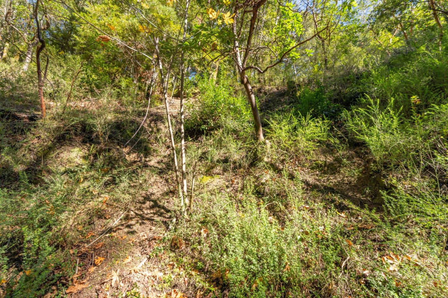 Detail Gallery Image 6 of 6 For 01 Lompico Rd, Felton,  CA 95018 - – Beds | – Baths