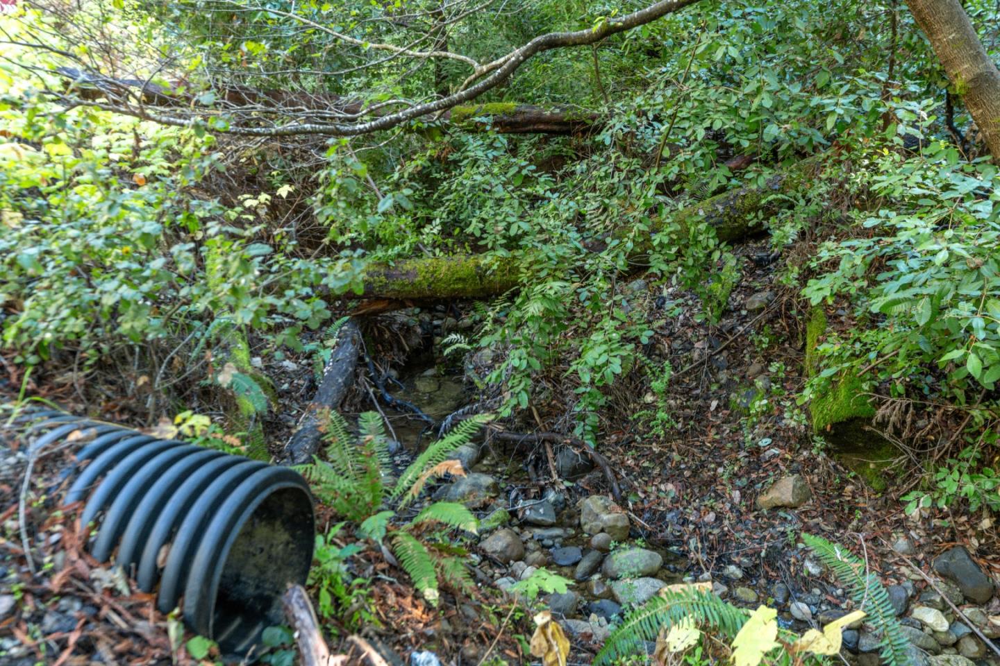 Detail Gallery Image 2 of 5 For 4 Old Mill Ave, Felton,  CA 95018 - – Beds | – Baths