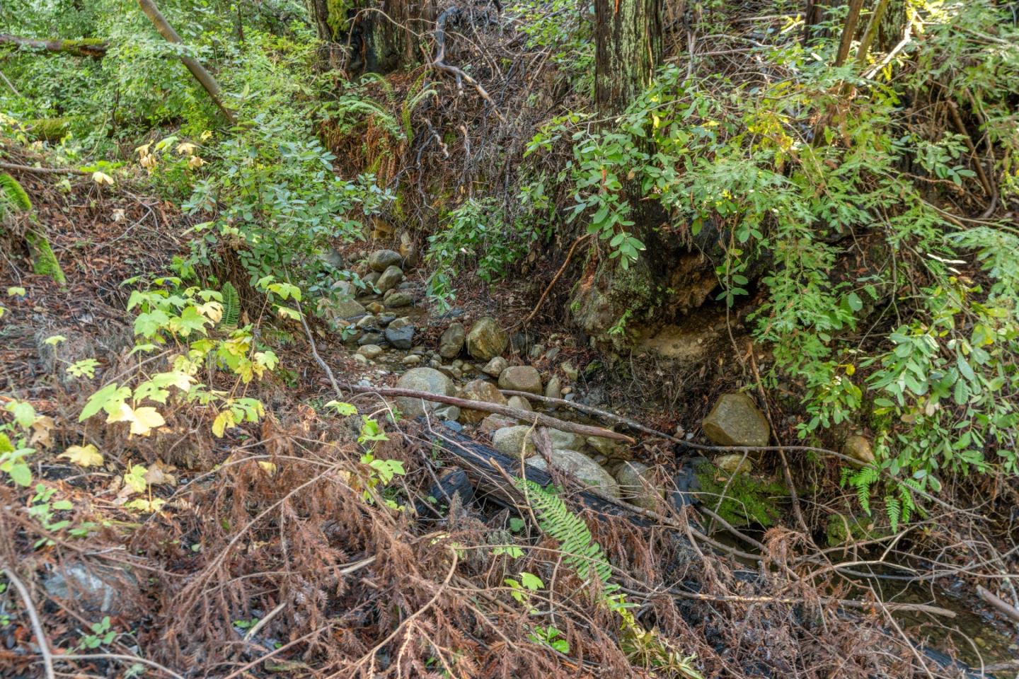 Detail Gallery Image 3 of 5 For 4 Old Mill Ave, Felton,  CA 95018 - – Beds | – Baths