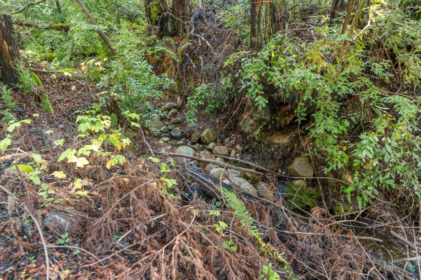 Detail Gallery Image 4 of 5 For 4 Old Mill Ave, Felton,  CA 95018 - – Beds | – Baths