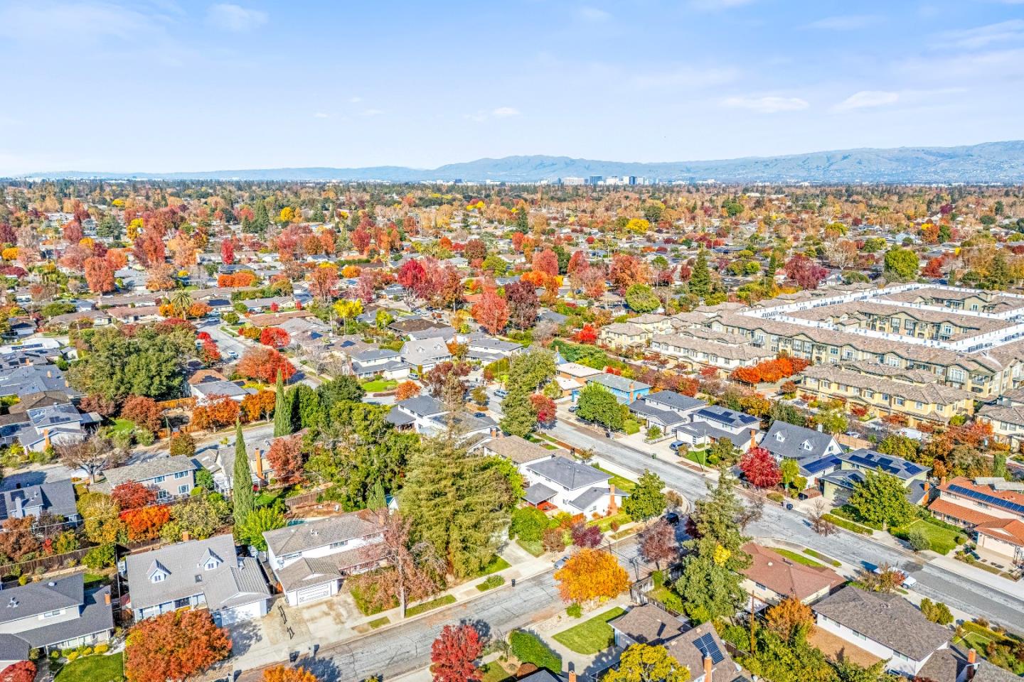 Detail Gallery Image 78 of 84 For 1688 Grizilo Dr, San Jose,  CA 95124 - 5 Beds | 2/1 Baths