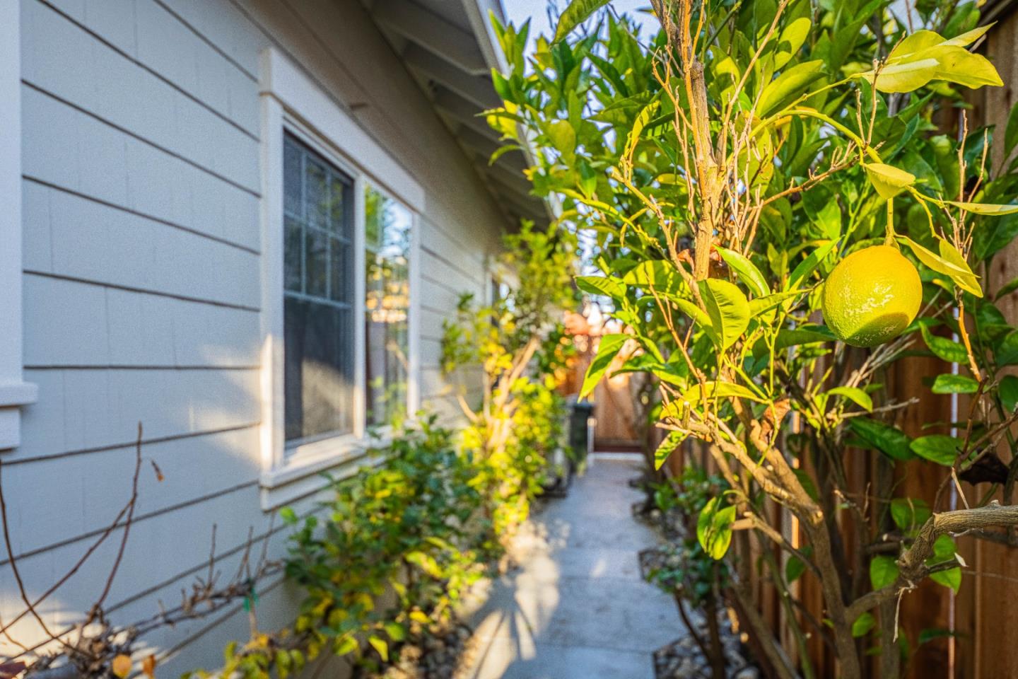 Detail Gallery Image 52 of 54 For 1119 First St, San Juan Bautista,  CA 95045 - 4 Beds | 3 Baths