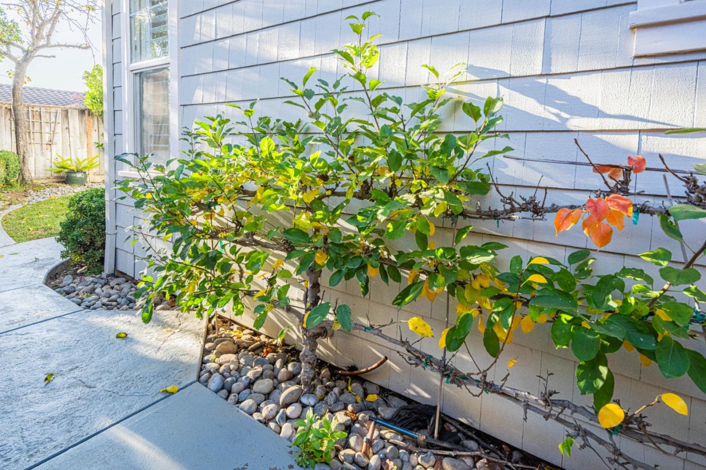 Detail Gallery Image 53 of 54 For 1119 First St, San Juan Bautista,  CA 95045 - 4 Beds | 3 Baths