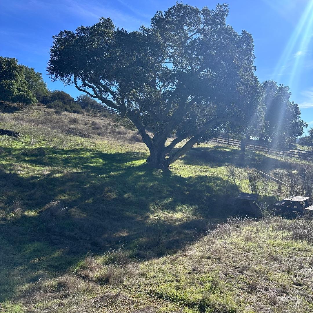 Detail Gallery Image 10 of 18 For 257 B San Benancio, Corral De Tierra,  CA 93908 - – Beds | – Baths