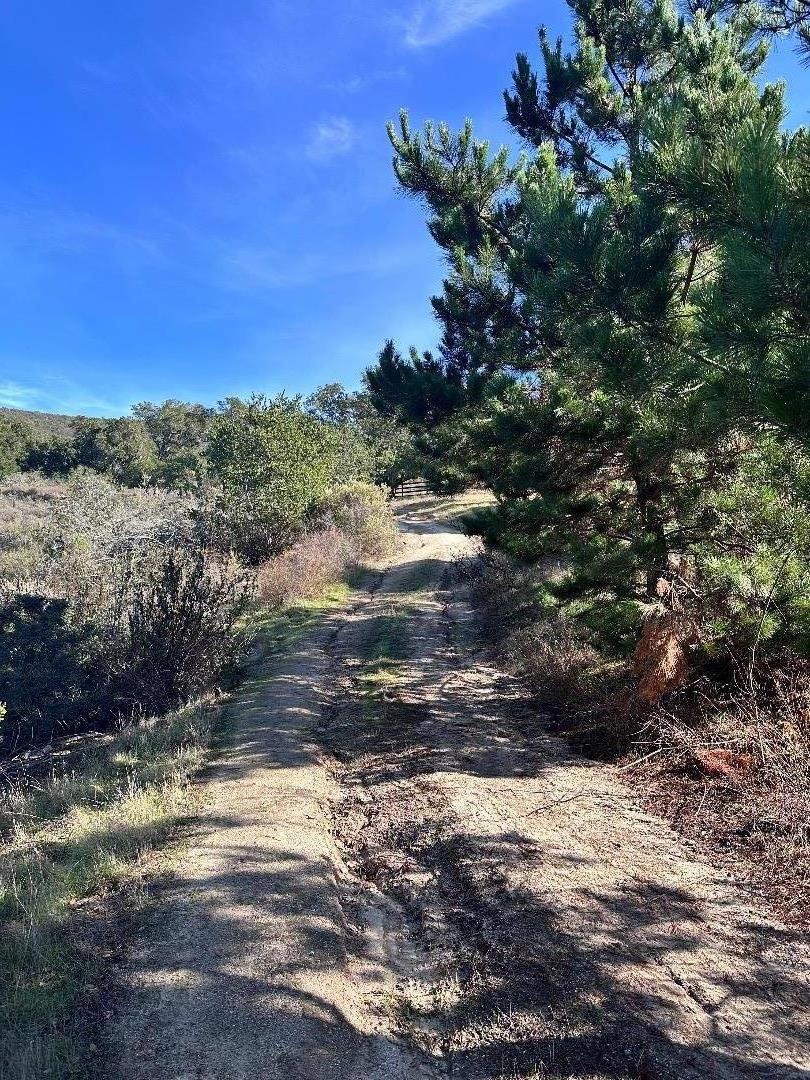 Detail Gallery Image 14 of 18 For 257 B San Benancio, Corral De Tierra,  CA 93908 - – Beds | – Baths