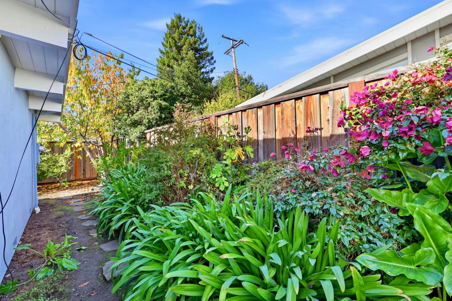 Detail Gallery Image 32 of 33 For 3839 Ross Rd, Palo Alto,  CA 94303 - 3 Beds | 2 Baths