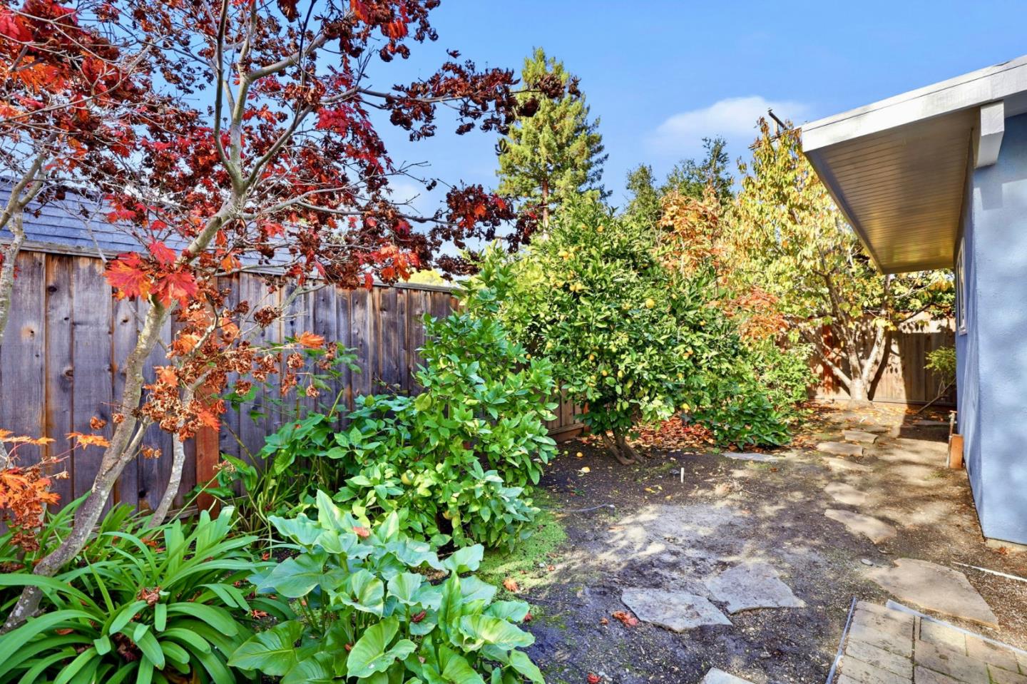 Detail Gallery Image 33 of 33 For 3839 Ross Rd, Palo Alto,  CA 94303 - 3 Beds | 2 Baths