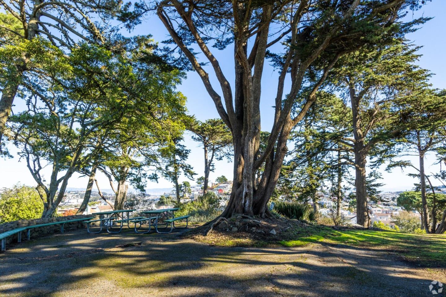 Detail Gallery Image 84 of 94 For 2629 San Jose Ave, San Francisco,  CA 94112 - 3 Beds | 2 Baths