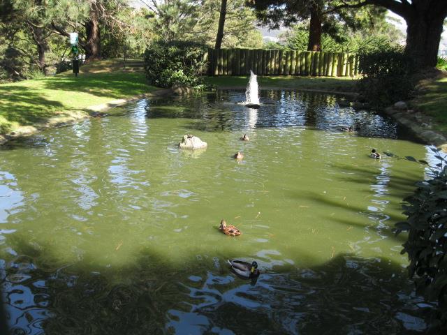 Detail Gallery Image 26 of 27 For 377 Mandarin Dr #204,  Daly City,  CA 94015 - 1 Beds | 1 Baths