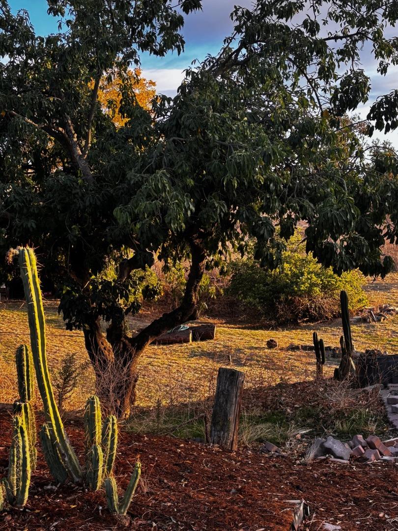 Detail Gallery Image 22 of 25 For 4234 Chaboya Rd, San Jose,  CA 95148 - 3 Beds | 2 Baths