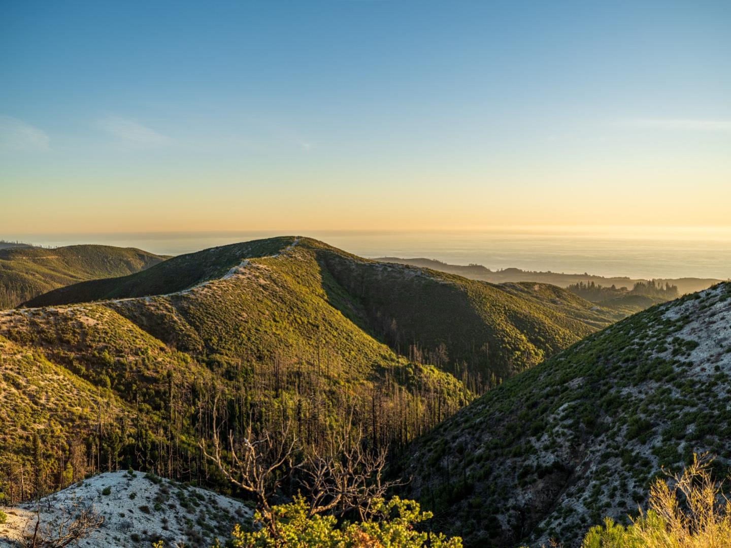 Detail Gallery Image 24 of 71 For 1211 Bertoli, Santa Cruz,  CA 95060 - – Beds | – Baths